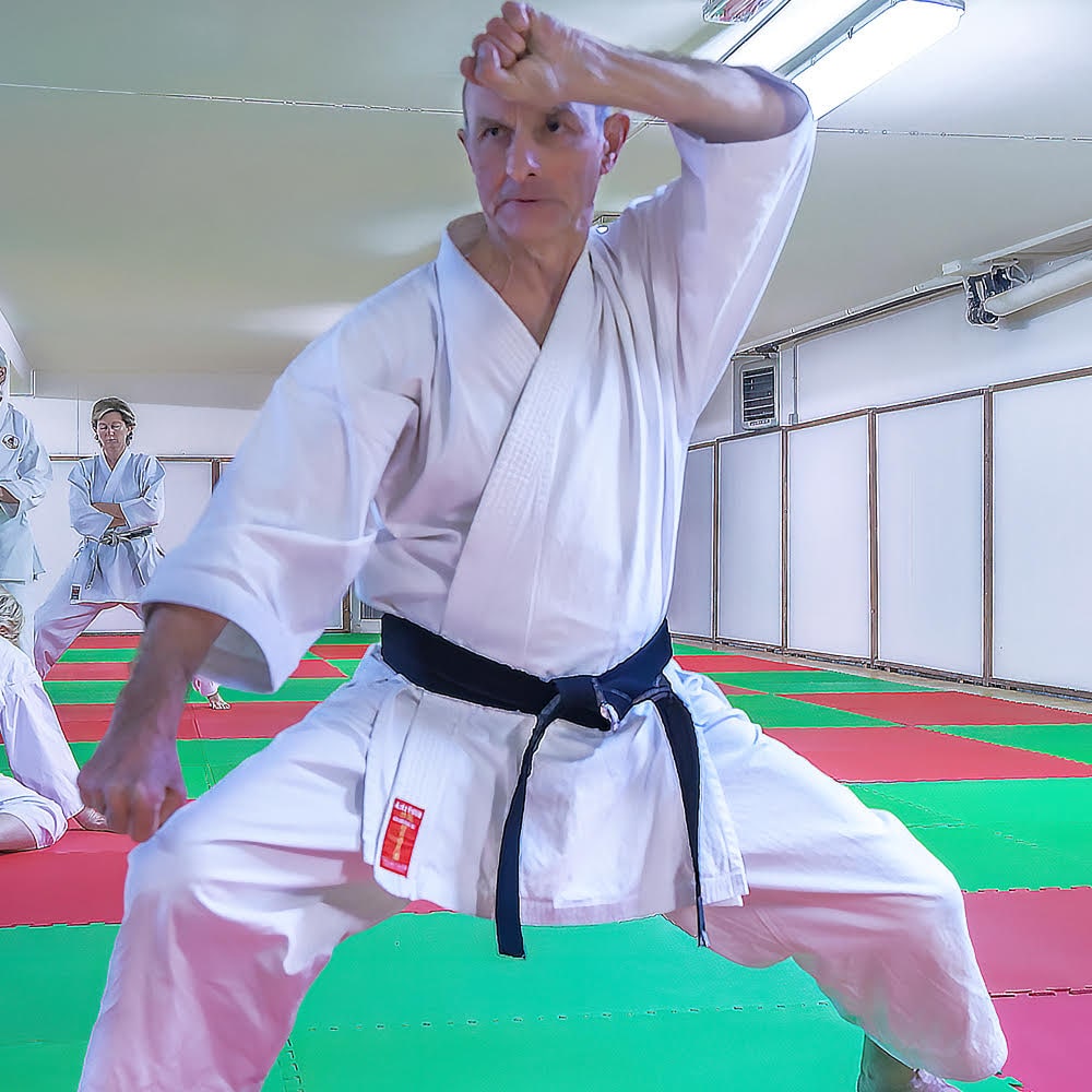 Immagine Karate agonistico